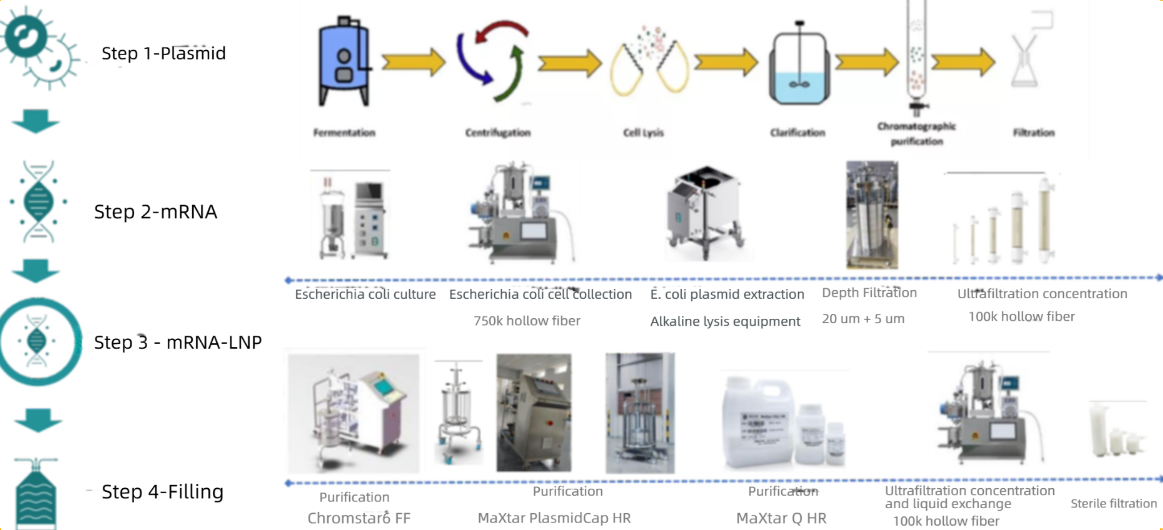 Research_Directions_and_Process_Support_for_the_Development_of_Novel_Veterinary_Vaccines_06.png Research_Directions_and_Process_Support_for_the_Development_of_Novel_Veterinary_Vaccines_06.png