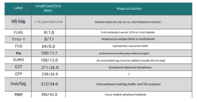 Strategies_for_Construction_of_Recombinant_Escherichia_coli_Expression_Vectors_and_Optimization_of_Cultivation_Conditions1.png Strategies_for_Construction_of_Recombinant_Escherichia_coli_Expression_Vectors_and_Optimization_of_Cultivation_Conditions1.png