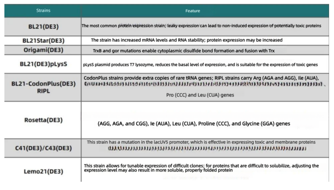 Strategies_for_Construction_of_Recombinant_Escherichia_coli_Expression_Vectors_and_Optimization_of_Cultivation_Conditions2.png Strategies_for_Construction_of_Recombinant_Escherichia_coli_Expression_Vectors_and_Optimization_of_Cultivation_Conditions2.png