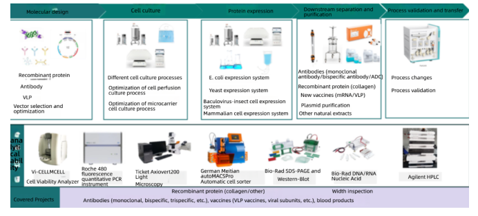 Strategies_for_Construction_of_Recombinant_Escherichia_coli_Expression_Vectors_and_Optimization_of_Cultivation_Conditions5.png Strategies_for_Construction_of_Recombinant_Escherichia_coli_Expression_Vectors_and_Optimization_of_Cultivation_Conditions5.png