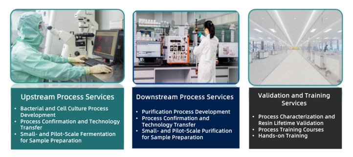 chromatography-resin-lifetime-validation-methods-influencing-factors-and-case-studies7.jpg chromatography-resin-lifetime-validation-methods-influencing-factors-and-case-studies7.jpg