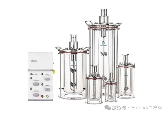 how-do-metabolic-byproduct-hidden-reefs-sink-cell-viability-biolink-bioreactors-help-you-navigate-the-challenge4.jpg how-do-metabolic-byproduct-hidden-reefs-sink-cell-viability-biolink-bioreactors-help-you-navigate-the-challenge4.jpg