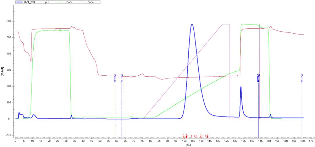 purification-techniques-application-of-mmc-series-cation-multimodal-resins-in-antibody-purification5.jpg purification-techniques-application-of-mmc-series-cation-multimodal-resins-in-antibody-purification5.jpg