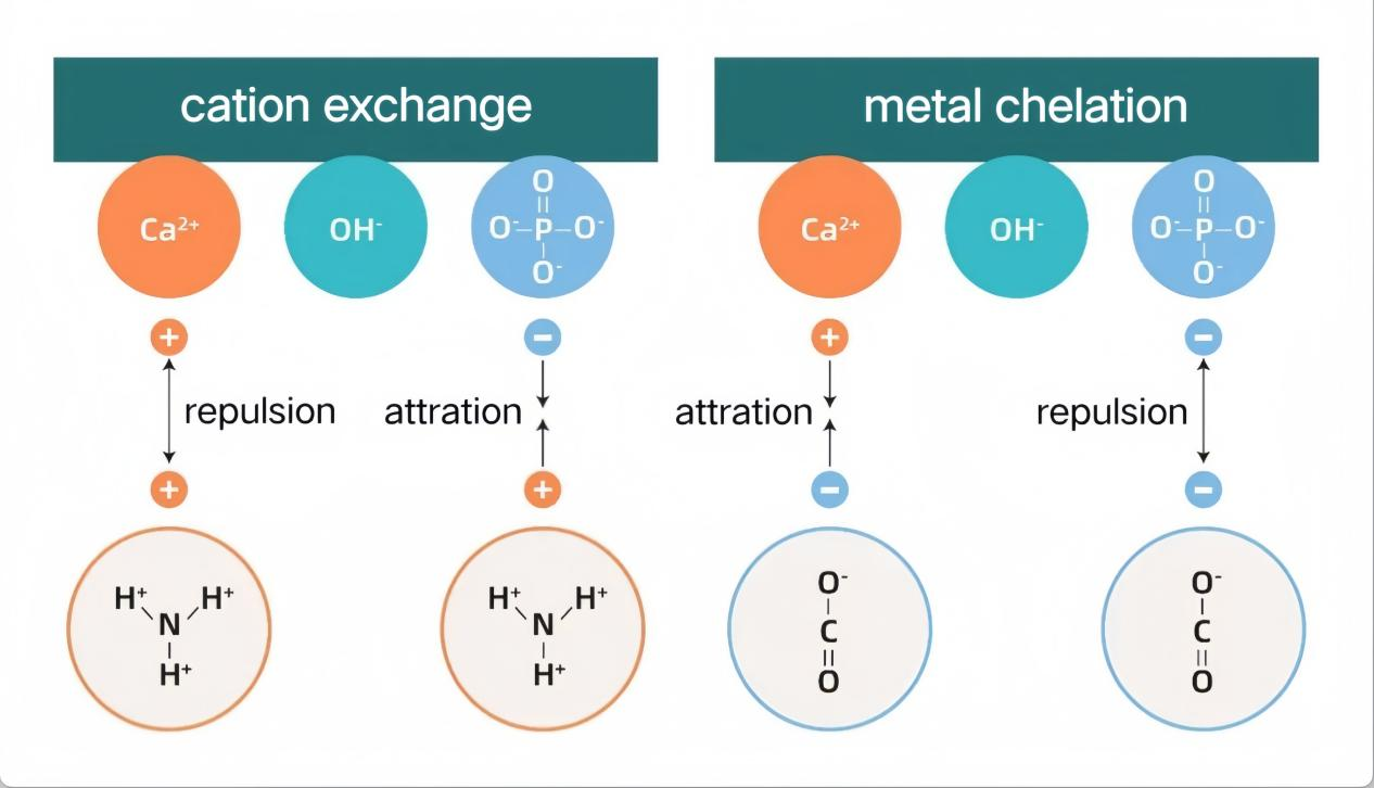 Purification_Techniques_01.png Purification_Techniques_01.png