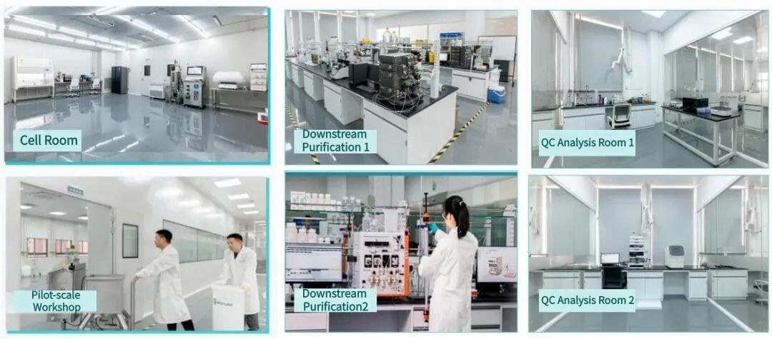figure-1-laboratory-area-of-suzhou-application-center.jpg figure-1-laboratory-area-of-suzhou-application-center.jpg