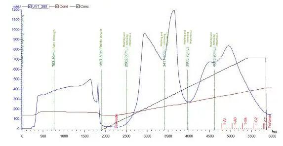 figure-7-maxtar-q-chromatogram.jpg figure-7-maxtar-q-chromatogram.jpg