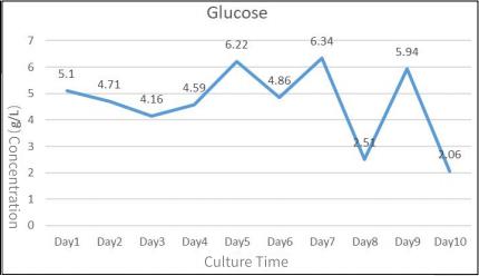 growth-metabolism-curve-2.jpg growth-metabolism-curve-2.jpg