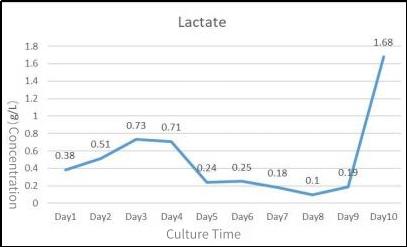 growth-metabolism-curve-3.jpg growth-metabolism-curve-3.jpg