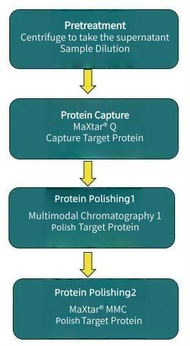 process-validation.jpg process-validation.jpg