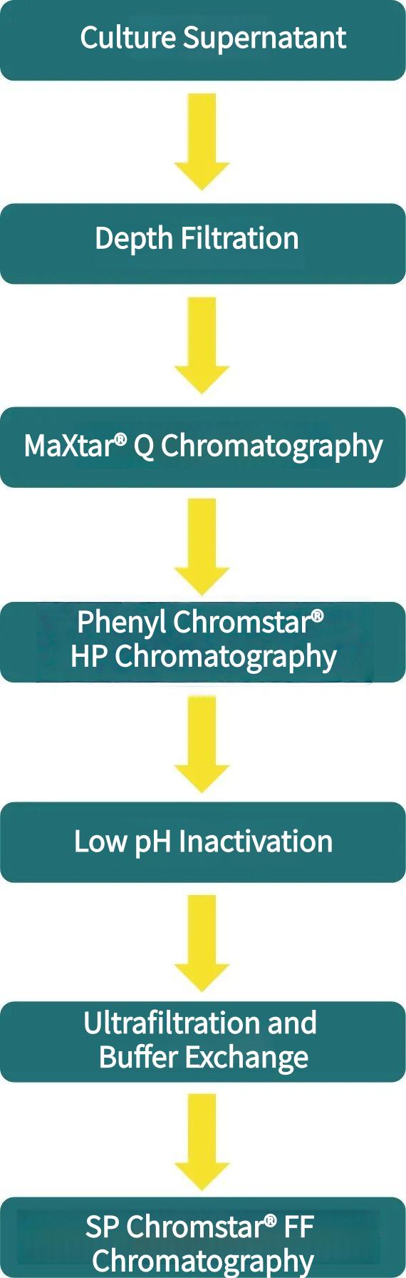 purification-process-flow.jpg purification-process-flow.jpg