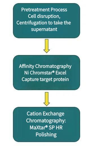 purification-process.jpg purification-process.jpg