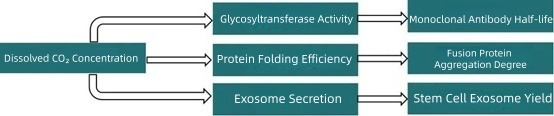 figure-1-effect-of-dissolved-co-concentration-on-critical-quality-attributes-of-biologics.jpg figure-1-effect-of-dissolved-co-concentration-on-critical-quality-attributes-of-biologics.jpg