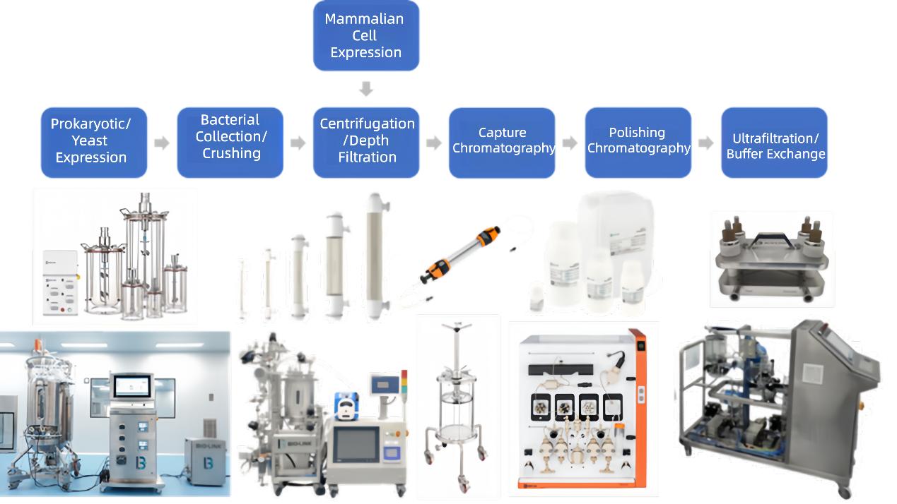 figure-3-biolink-s-overall-solution-for-recombinant-collagen.jpg figure-3-biolink-s-overall-solution-for-recombinant-collagen.jpg