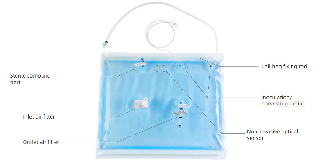 figure-3-schematic-diagram-of-standard-cell-bag.jpg figure-3-schematic-diagram-of-standard-cell-bag.jpg