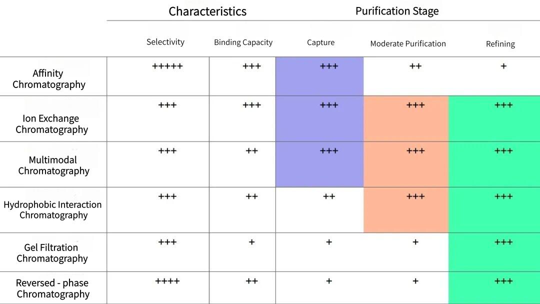 table-1-characteristics-of-different-chromatography-resins-and-their-application-in-the-purification-stage.jpg table-1-characteristics-of-different-chromatography-resins-and-their-application-in-the-purification-stage.jpg