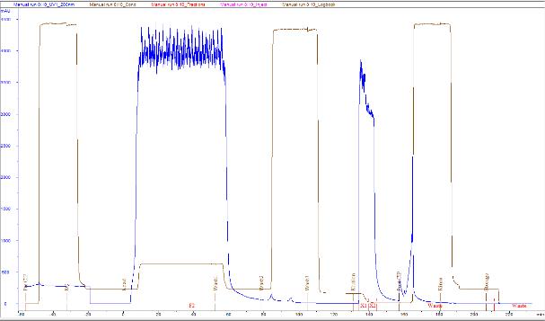 protein-purification20240306-3.jpg