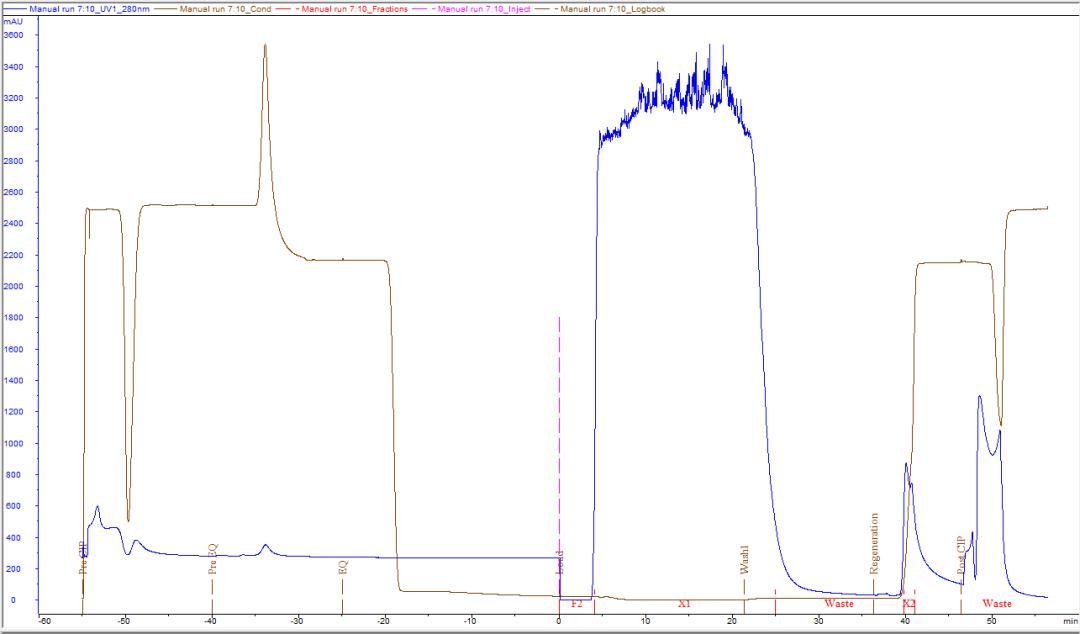 protein-purification20240306-5.jpg