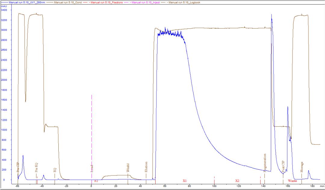 protein-purification20240306-7.jpg