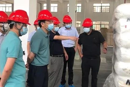 Ding Xinghua, Deputy Secretary of Rugao Municipal Party Committee, Visited BioLink For Inspection
