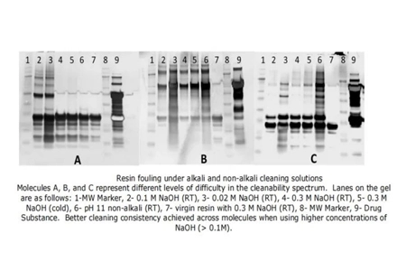 Cleaning and Lifespan of Protein A Affinity Chromatography Resins