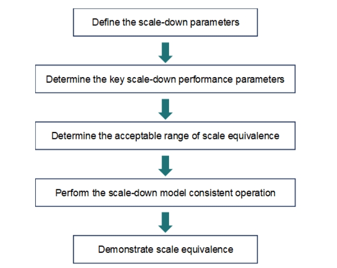 Development_and_Qualification_of_Scale-Down_Models_01.jpg