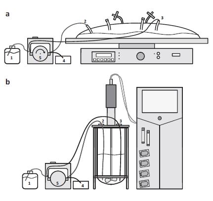 Schematic_Diagram_of_Experimental_Setup.jpg