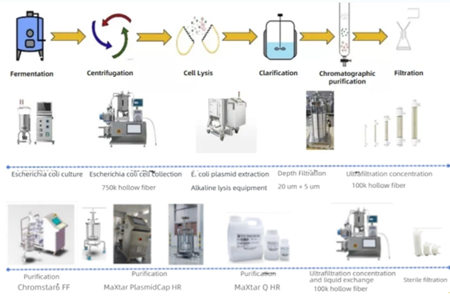 Process Development and Optimization of Nucleic Acid Vaccines