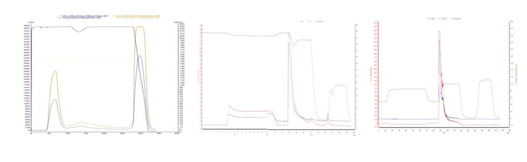 Nucleic_Acid_Vaccines-4.jpg